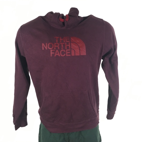 The North Face Other - North Face Graphic Hoodie Sweater DR00821 Sz L
